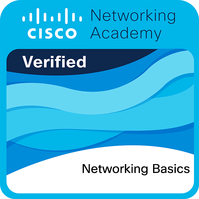Badge Networking Basics